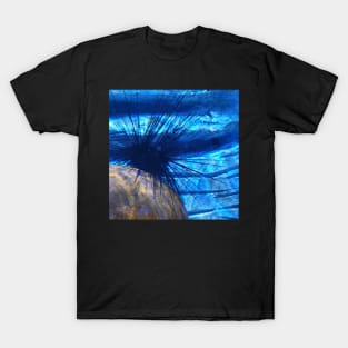 Sea Urchin T-Shirt